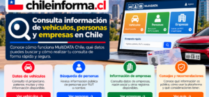 Guía visual de MultiDATA Chile para consultar datos públicos de vehículos, personas y empresas mediante búsquedas por patente, RUT o nombre.