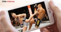 UFC en vivo