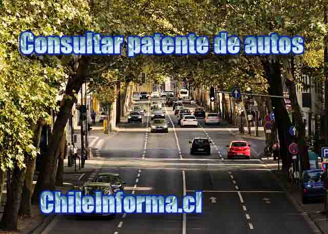 Buscar autos por RUT