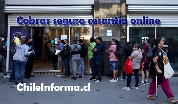 Cobrar seguro de cesantía online